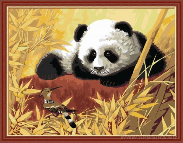 Раскраска по номерам на холсте "Любопытный панда"