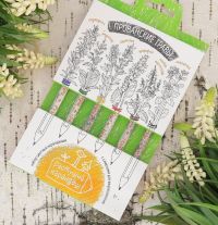 Растущие карандаши "Прованские травы" набор 6 шт. цветные